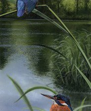 Схема вышивки «Серия "Птицы"»