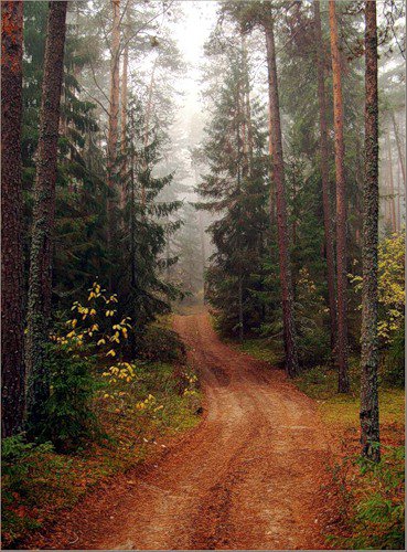 Серия "Пейзаж. Лето" - дорога, лето, пейзаж - оригинал