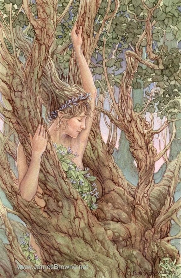 №32923 - оригинал