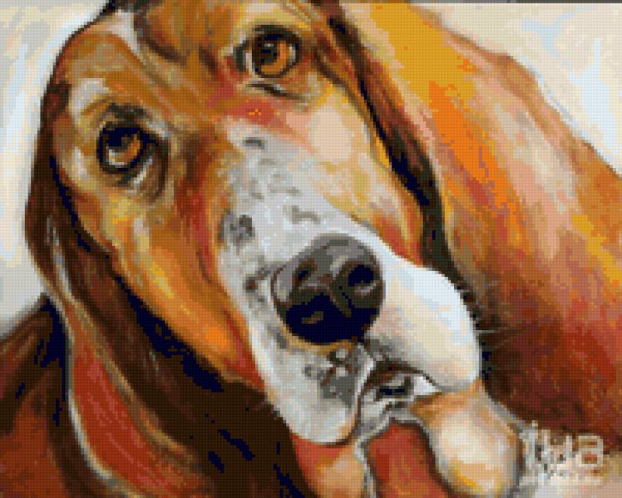 №33203 - собаки - предпросмотр