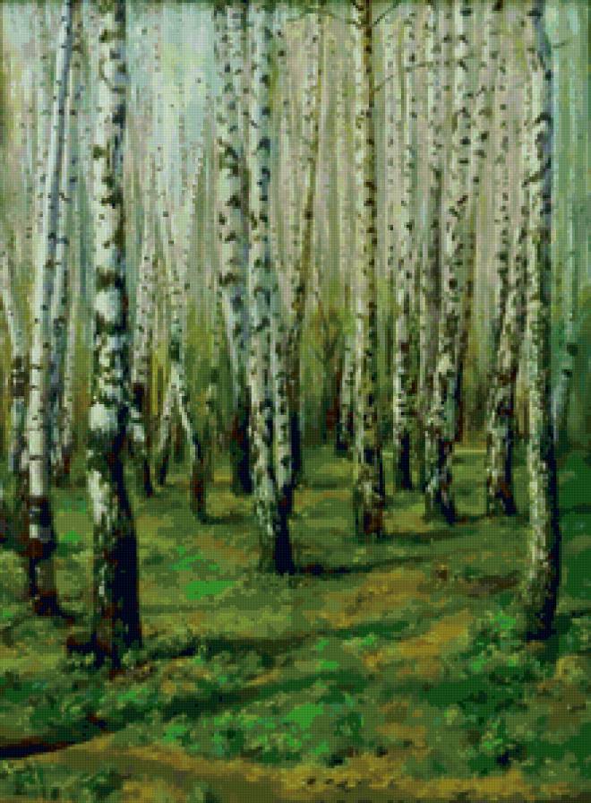 Берёзки - пейзаж, лес - предпросмотр