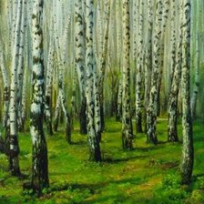 Схема вышивки «Берёзки»