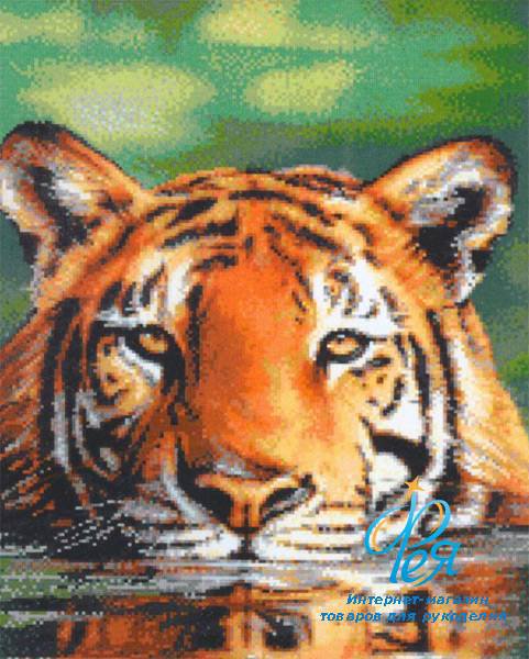 Тигр - животные - оригинал