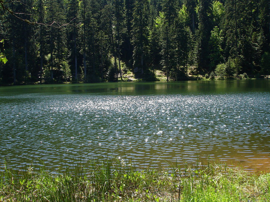 Озеро - лето, озеро - оригинал