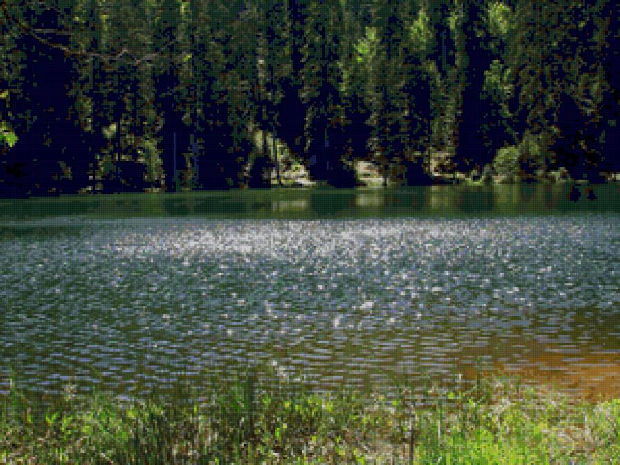 Озеро - лето, озеро - предпросмотр