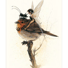 Схема вышивки «феечка»