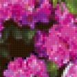 Предпросмотр схемы вышивки «цветы» (№33613)