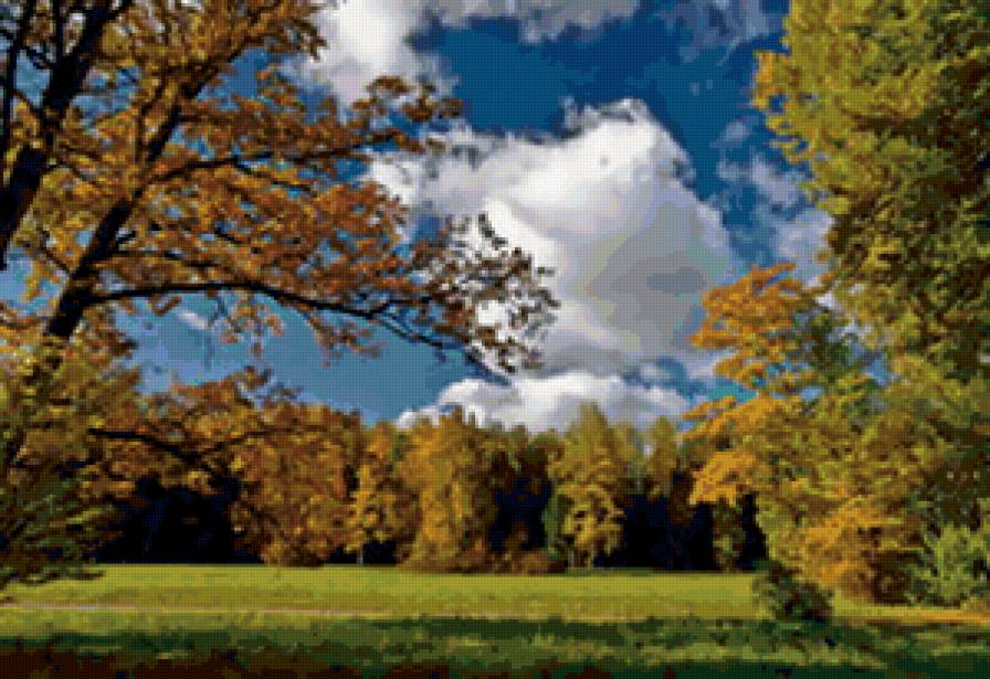 пейзаж - пейзаж, лес, деревья, природа - предпросмотр