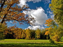 Схема вышивки «пейзаж»