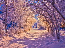 Схема вышивки «зимний вечер»
