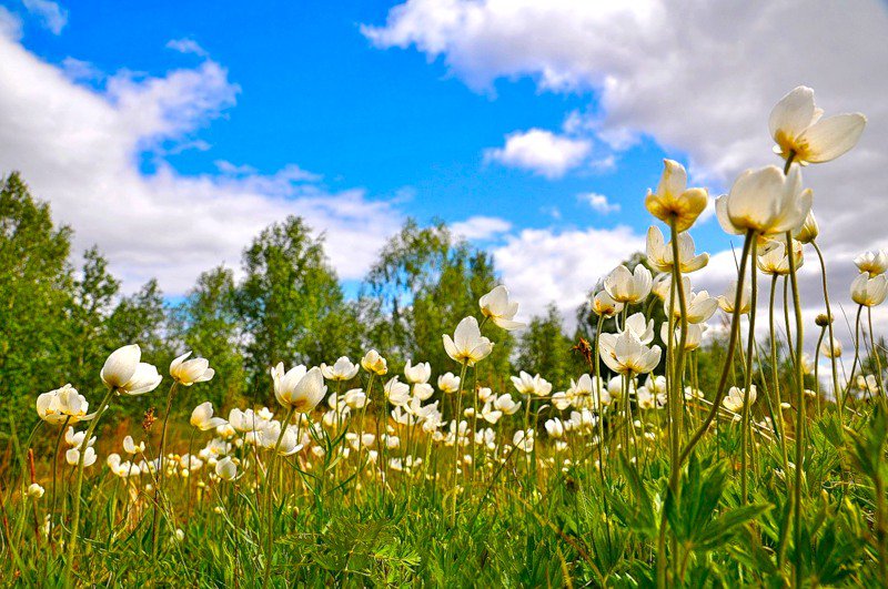 №33780 - оригинал