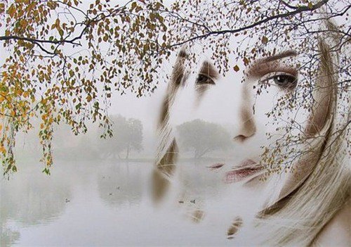 №33797 - оригинал