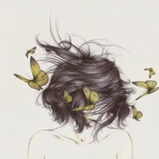 Схема вышивки «Бабочки в волосах»