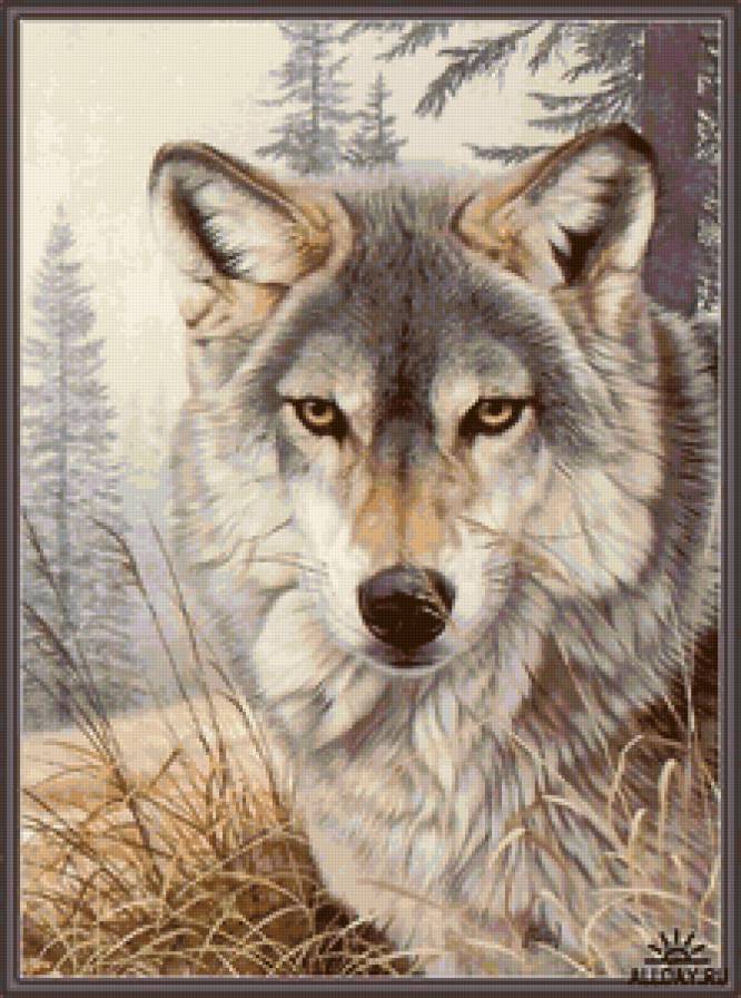 №33858 - предпросмотр