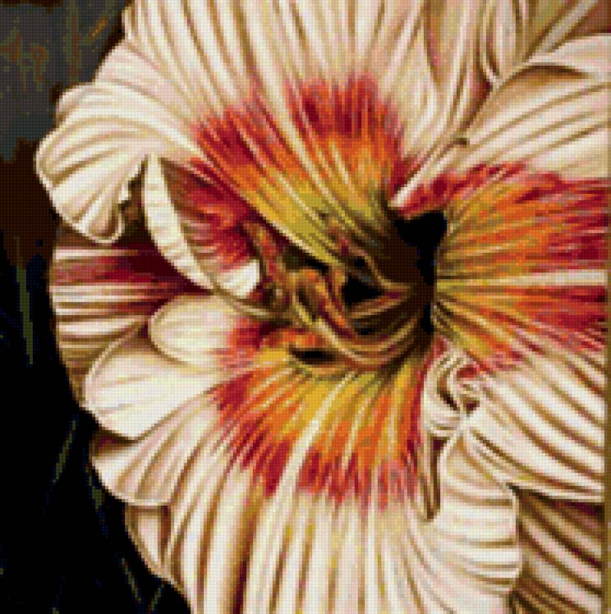 №33906 - цветы - предпросмотр