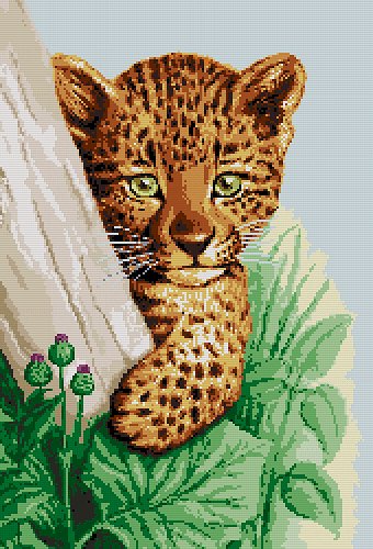 семейство кошачьих - малыш - оригинал