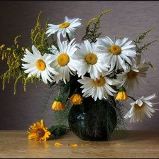 Схема вышивки «№34004»