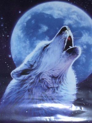 Волк - оригинал