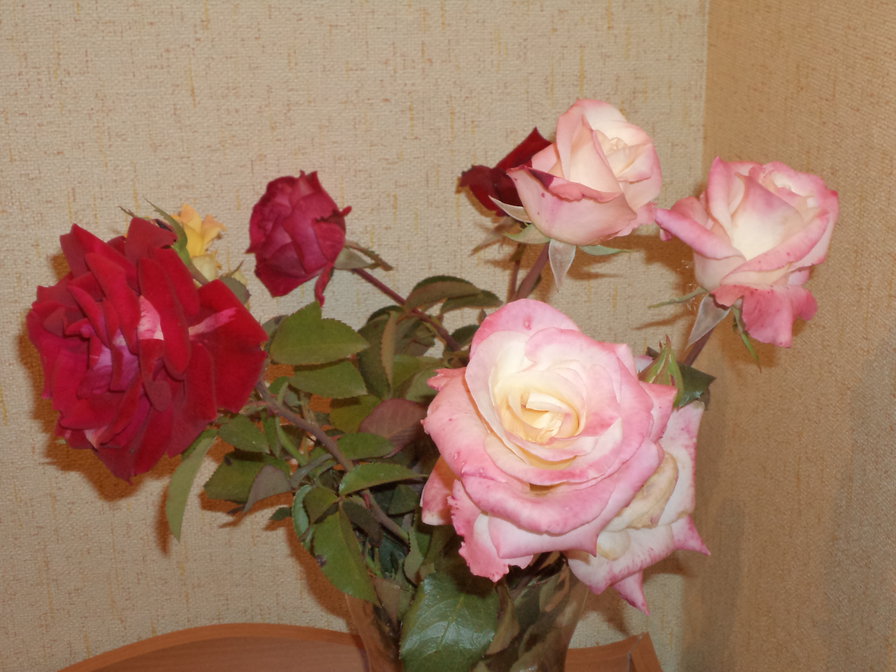 Красавицы розы - цветы, розы - оригинал