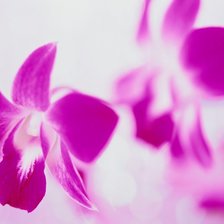 Схема вышивки «№34376»