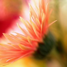 Схема вышивки «№34382»