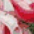 Предпросмотр схемы вышивки «Розы часть 3» (№34424)