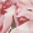 Предпросмотр схемы вышивки «5» (№34432)
