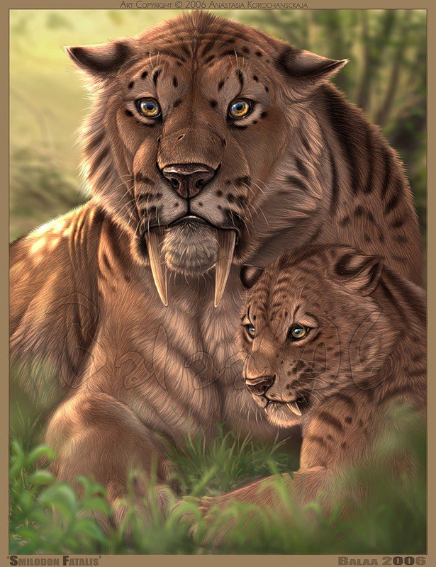 №34689 - оригинал