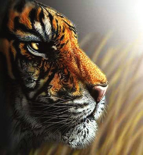 №34714 - оригинал