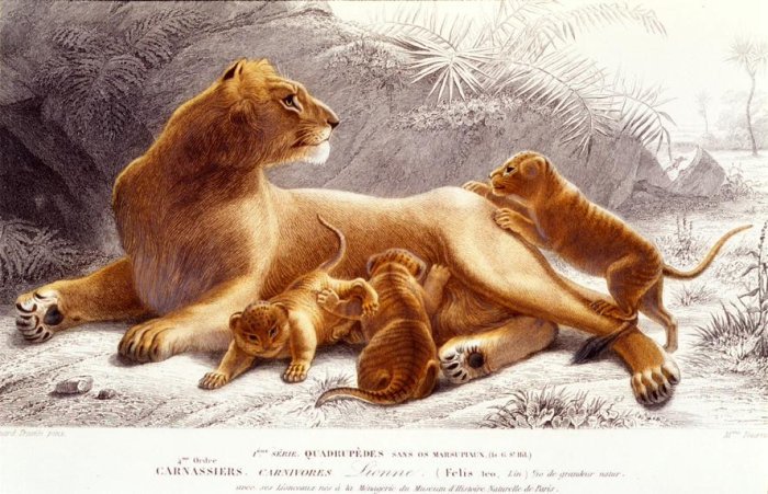 №34823 - оригинал