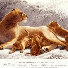 Схема вышивки «№34823»