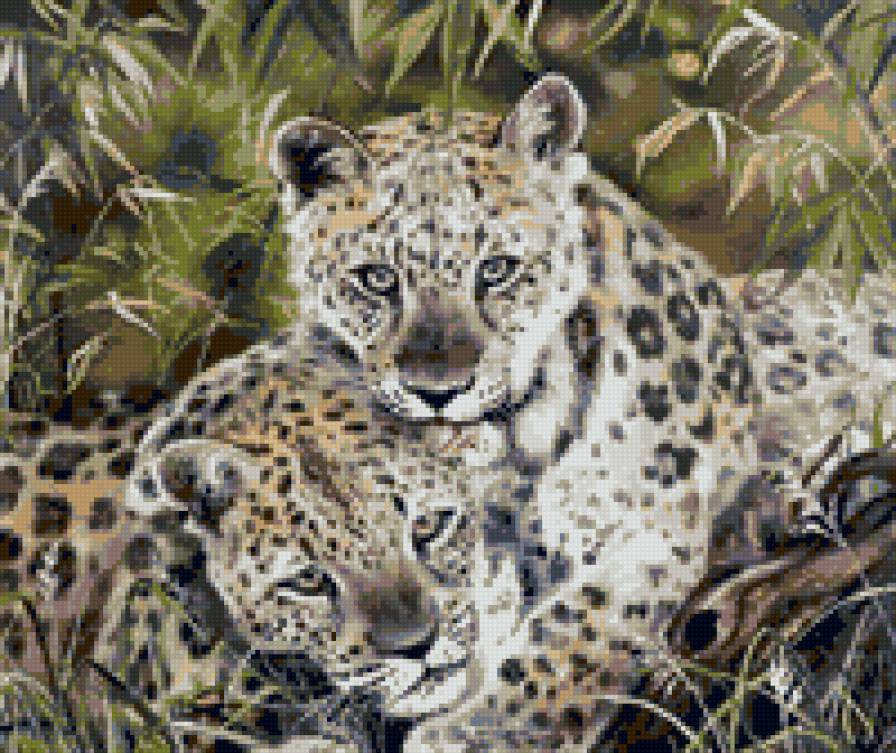 №34839 - предпросмотр