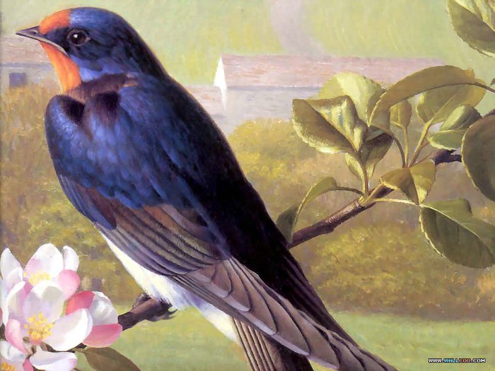 №34879 - оригинал