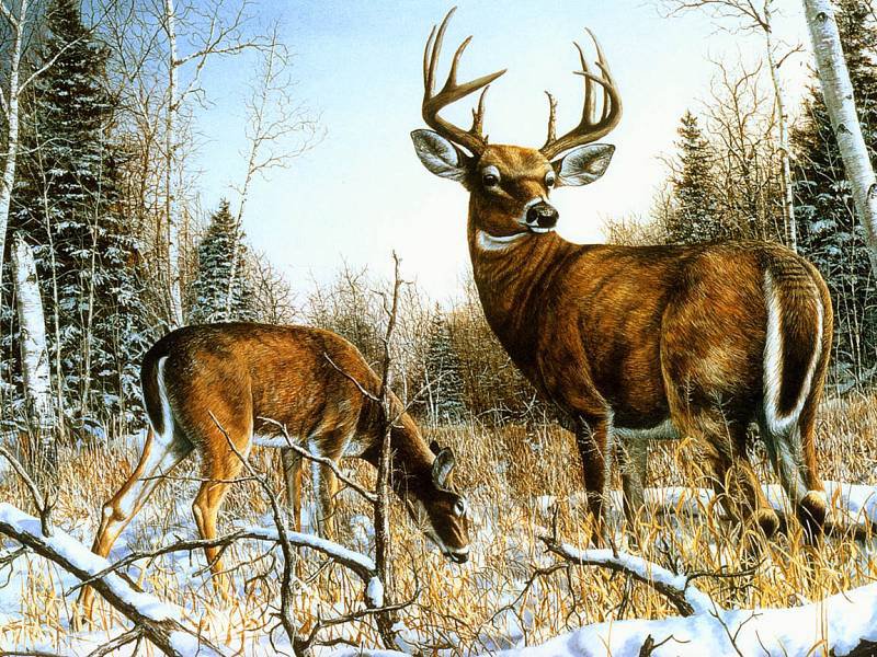 №34926 - оригинал