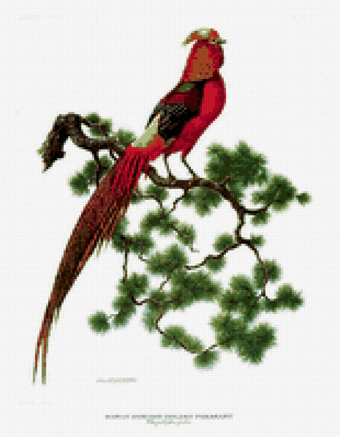 №34978 - предпросмотр