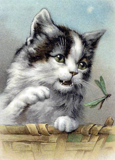 Variant 2 - koshki, nasekomye, zhivotnye - оригинал