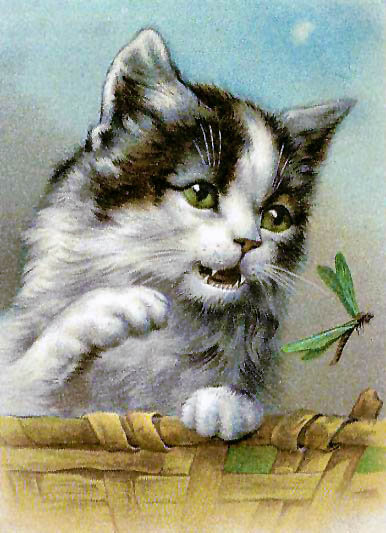 Variant 5 - koshki, zhivotnye, nasekomye - оригинал