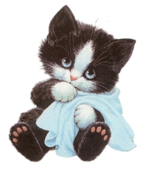 киса - оригинал