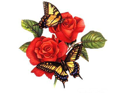 бабочки на розе - бабочки - оригинал