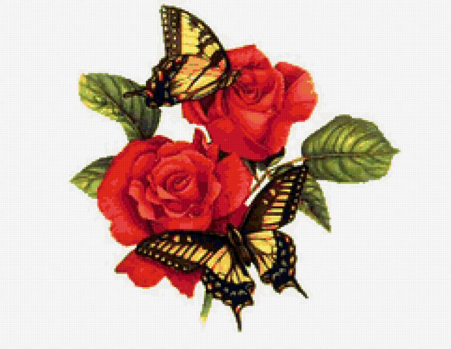 бабочки на розе - бабочки - предпросмотр