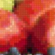 Предпросмотр схемы вышивки «фрукты» (№35312)