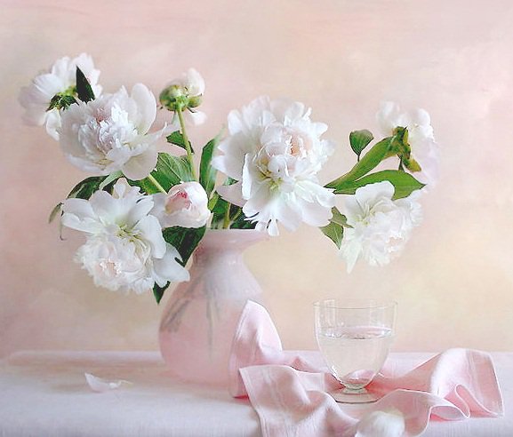 Белые пионы - пионы, цветы - оригинал