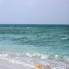 Схема вышивки «море волнуется2»