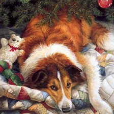 праздник с колли