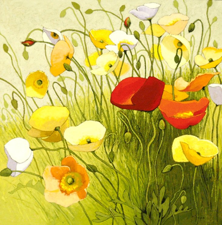 Маки - маки, цветы - оригинал