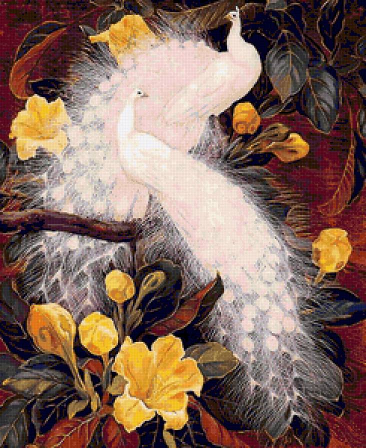 Павлины - павлины - предпросмотр