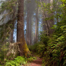 Схема вышивки «№35611»