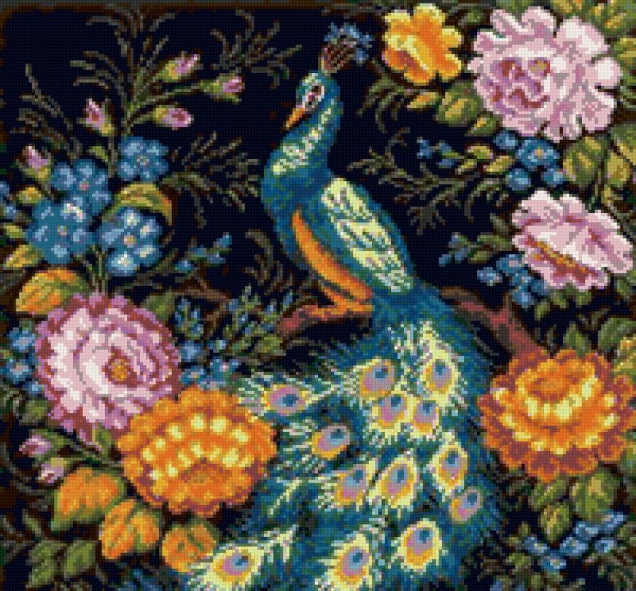 Павлин - цветы, райские птички, растения, птицы, павлин - предпросмотр