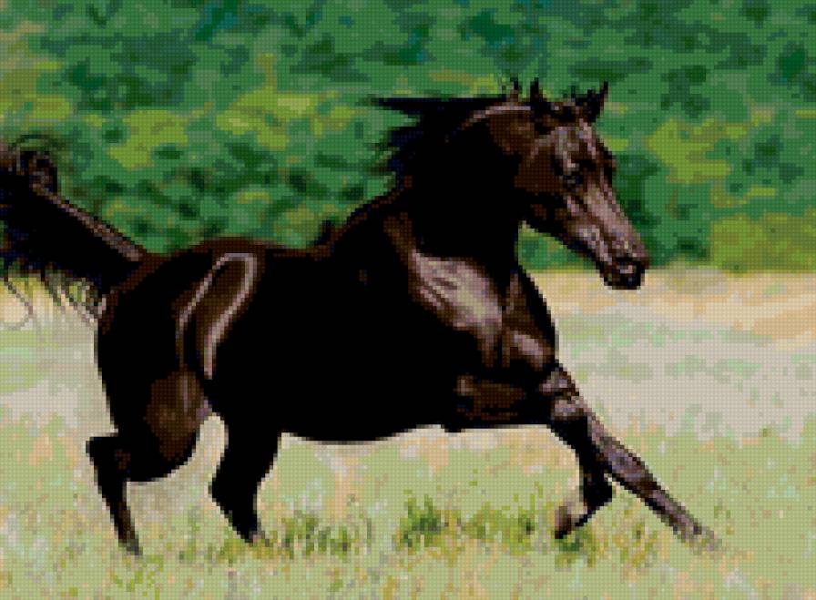 18 - лошади, красота, природа, животные - предпросмотр