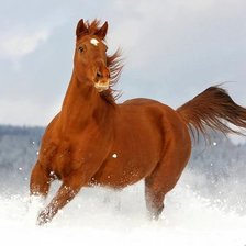 Схема вышивки «26»